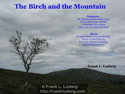 1 - The Birch and the Mountain